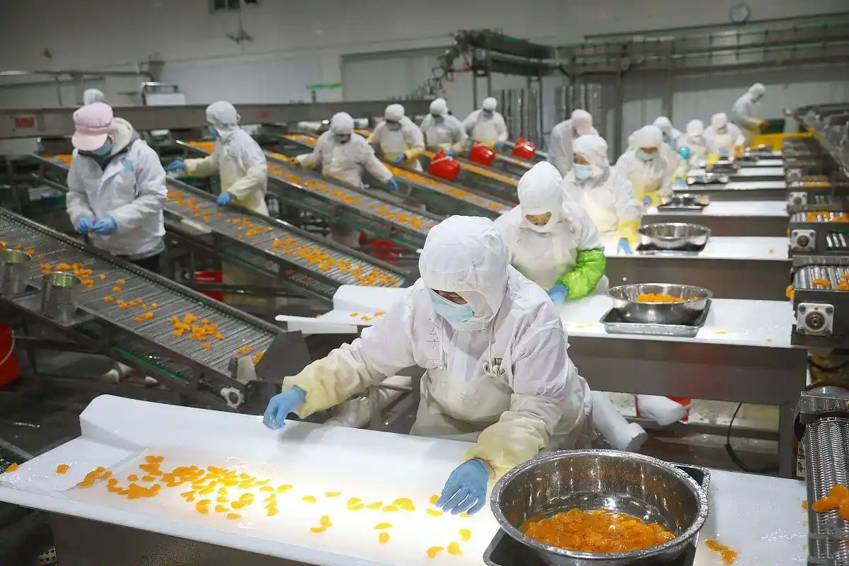 为何食品制药企业纷纷青睐无色无味洗手液？